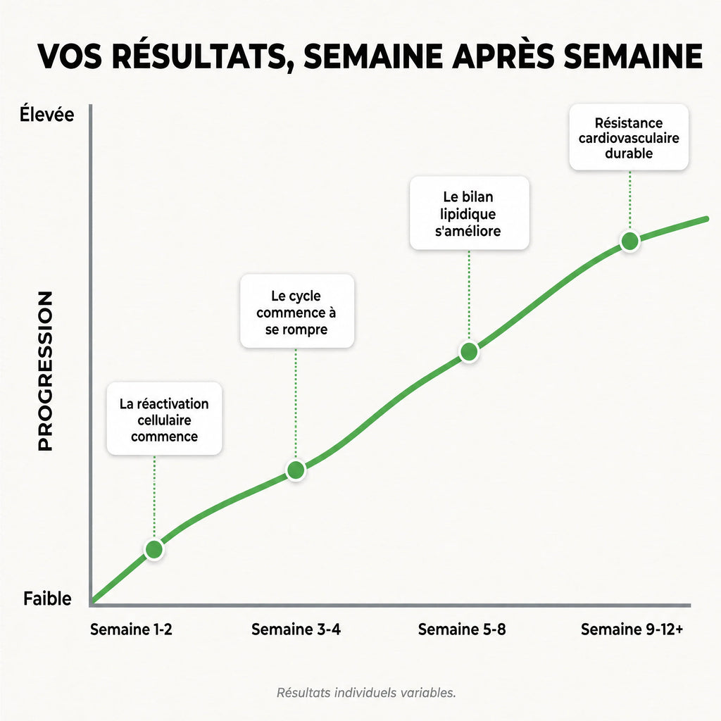 Gélules d'Amla Superfruit