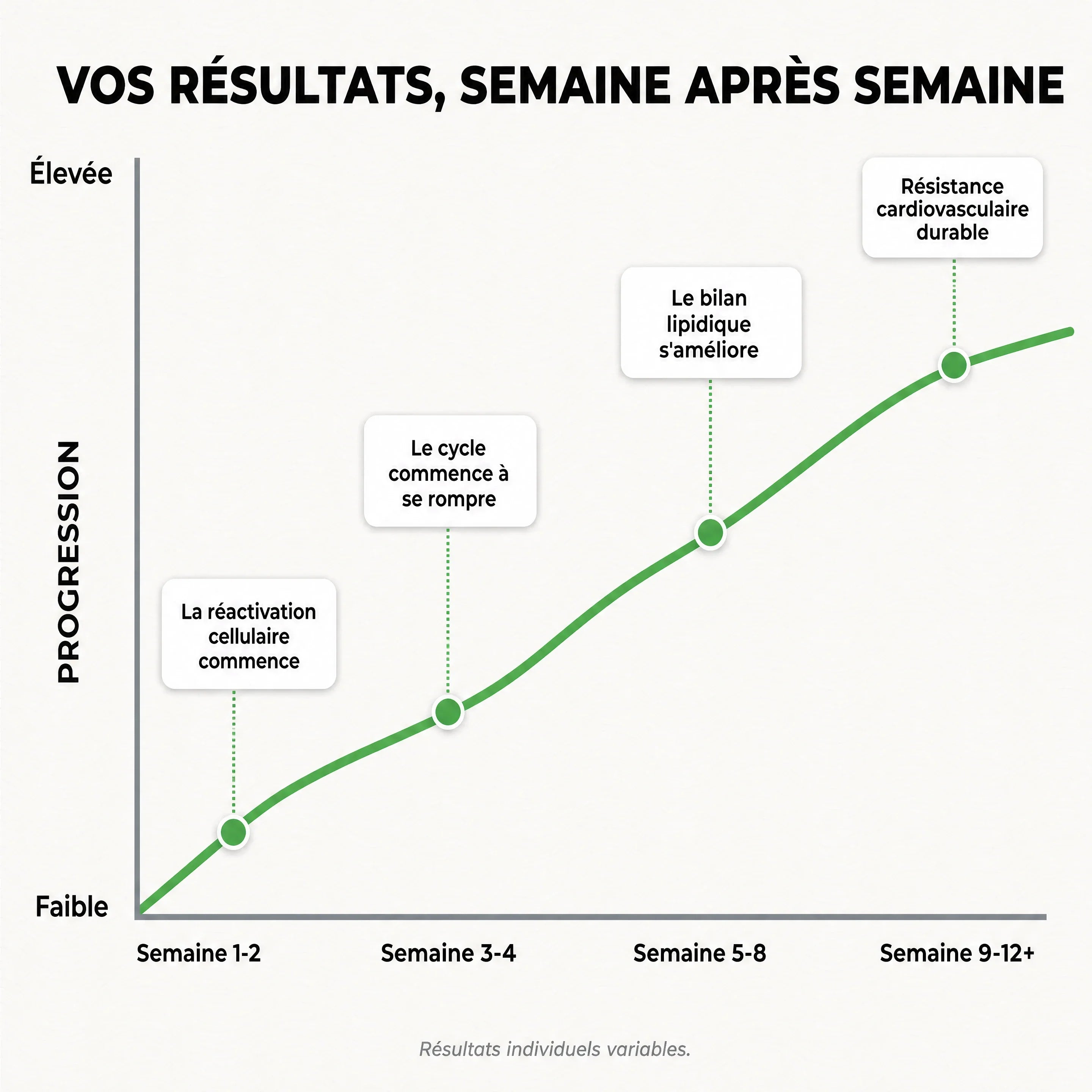 Gélules d'Amla Superfruit