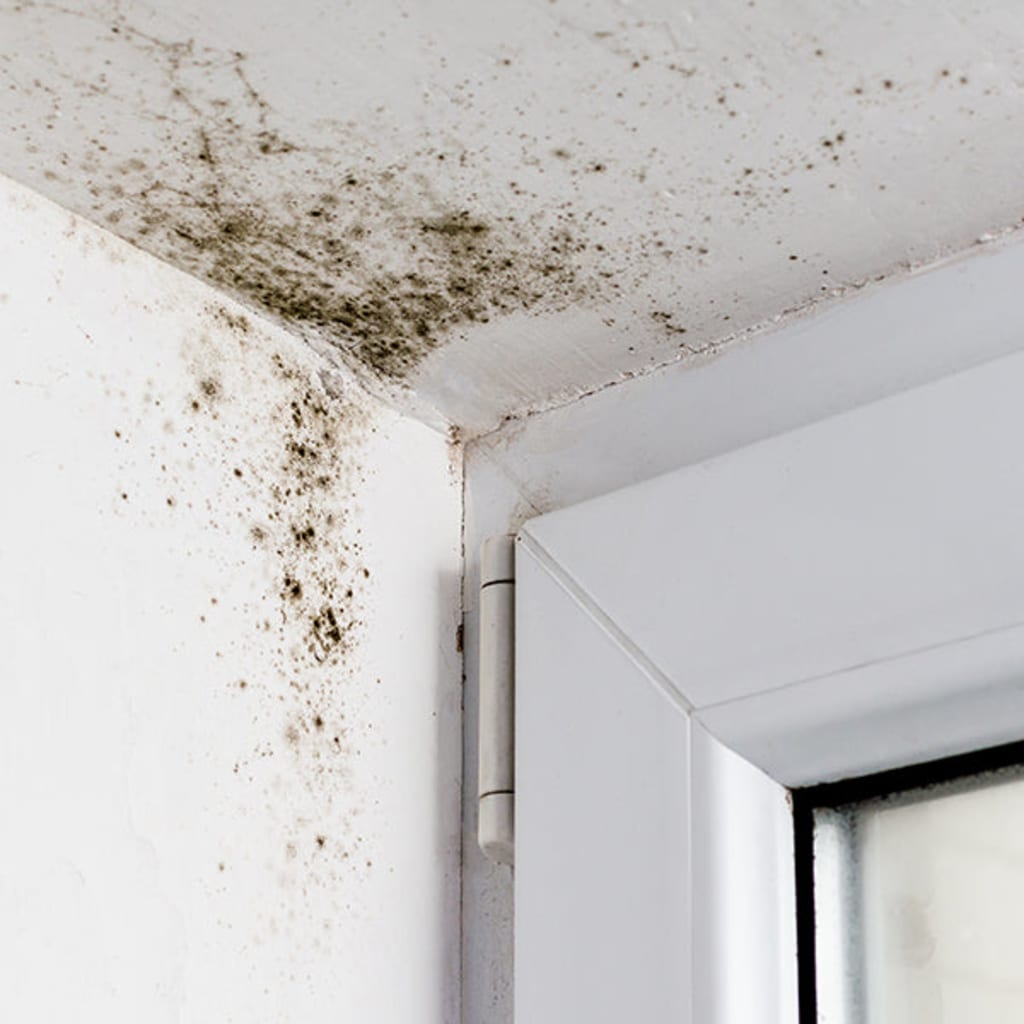 Jana® Mold Clearance Support